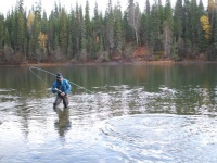 Fly fishing picture