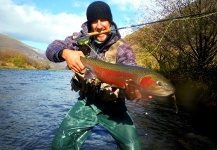 Fly-fishing Photo of Steelhead shared by Luke Metherell – Fly dreamers 