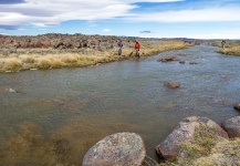 Fly-fishing Situation of Rainbow trout shared by Pepe Mélega 