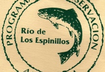 Grupo Espinillos  Pescadores Conservacionistas's Great Fly-fishing Art Picture – Fly dreamers 