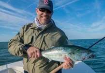 Robert Michaelis 's Fly-fishing Catch of a False Albacore - Little Tunny – Fly dreamers 