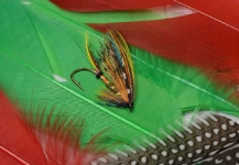 Sven Axelsson 's Fly for Atlantic salmon - Image – Fly dreamers 