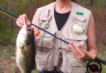 Fly-fishing Photo of Largemouth Bass shared by Luke Metherell – Fly dreamers 