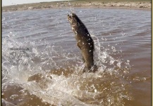 Estancia Privada, Gualeguay, Entre Rios, Argentina