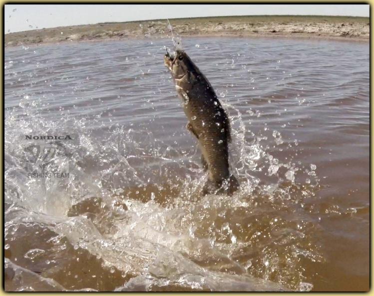 Estancia Privada, Gualeguay, Entre Rios, Argentina