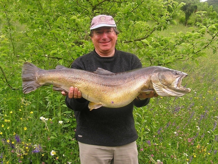 Guide Kevin Smith with Slovenia Fly Fishing catches a BIG Marble Trout.
www.sloveniaflyfishing.com 