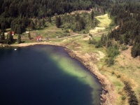 An aerial view of a shoal and drop off of a small trout lake. The trout will feed extensively over the light coloured marl bottom and the edge of the shoal drop-off where the shallow water transitions to the deep.
