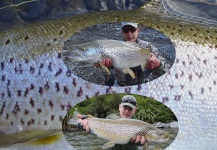 Fly-fishing Image of Brown trout shared by Martin Langlands – Fly dreamers