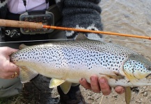 Kristinn Ingolfsson 's Fly-fishing Catch of a Brown trout – Fly dreamers 