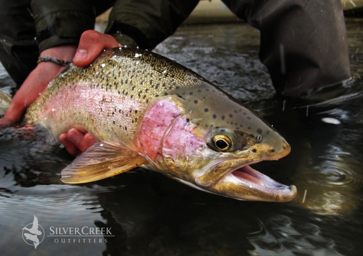 Lost River Outfitters, Fly Fishing