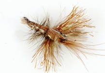 Colin Pittendrigh 's Fly-tying for Brown trout - Image – Fly dreamers 