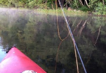  Gran Fotografía de Situación de Pesca con Mosca por Cierra Bennetch – Fly dreamers