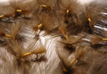 Foto de atado de moscas para Trucha marrón por Juan Cuesta Velasco – Fly dreamers 