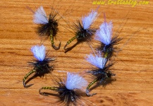 Andrew Fowler 's Fly-tying for Rainbow trout - Pic – Fly dreamers 