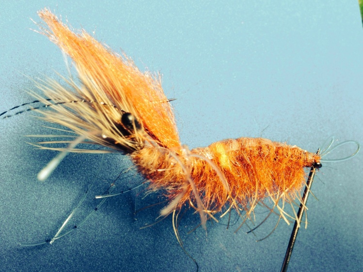 Golden Trevally/Permit fly, a mix of a magic shrimp/jam fly/honey shrimp.