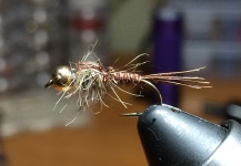 Interesting Fly-tying Picture shared by Michael Anderson – Fly dreamers