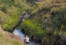  Situación de Pesca con Mosca de Trucha marrón – Imagen por Andrew Fowler en Fly dreamers