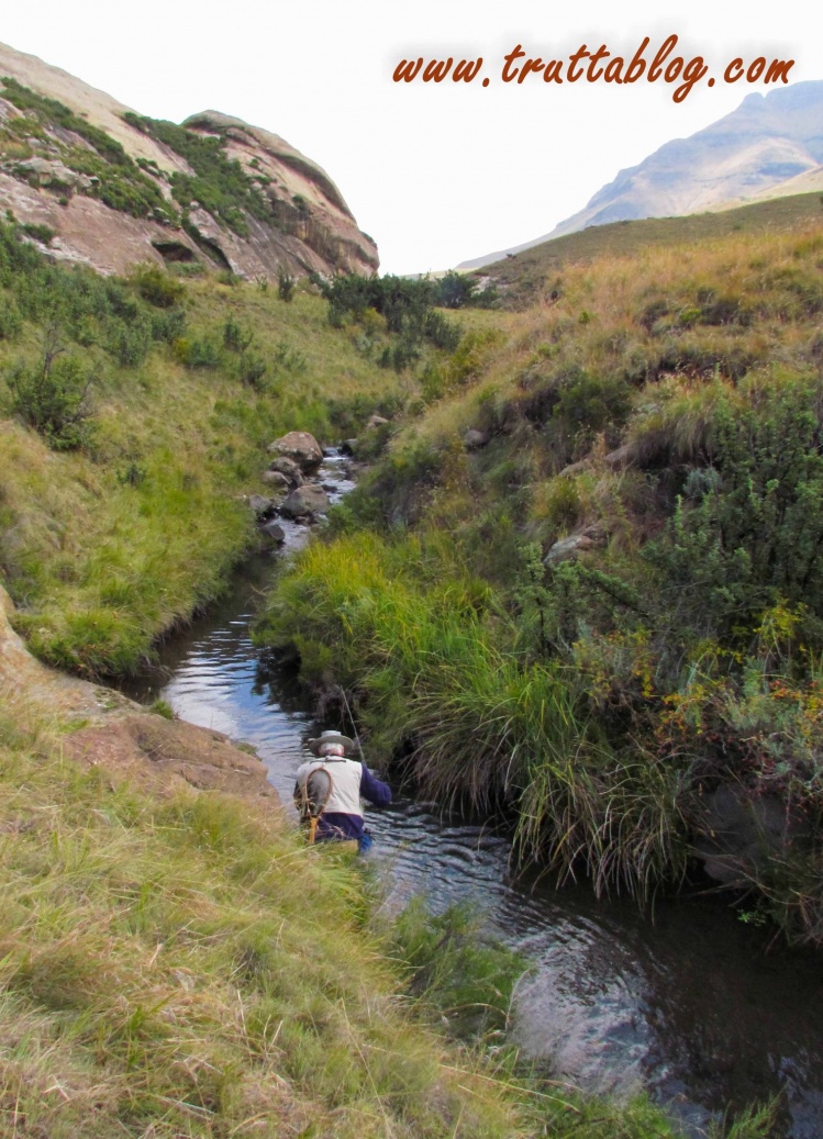 The beautiful and diminutive Willow Stream