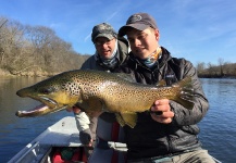 Jarrod Stone 's Fly-fishing Image of a Brown trout – Fly dreamers 