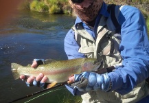  Fotografía de Pesca con Mosca de Trucha arcoiris por Bernardo Delgado – Fly dreamers