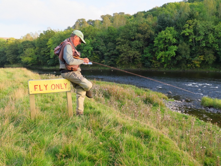 preparing flies for big grayling in wales