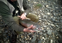 Bernardo Delgado 's Fly-fishing Image of a Rainbow trout – Fly dreamers 