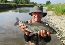 Sweet Fly-fishing Situation of Grayling - Image shared by Millot Thierry – Fly dreamers