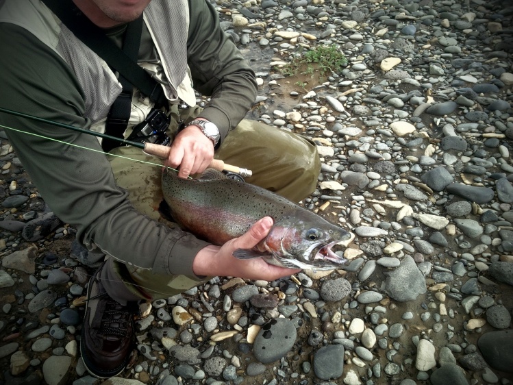 Pesca en Rio Cardiel