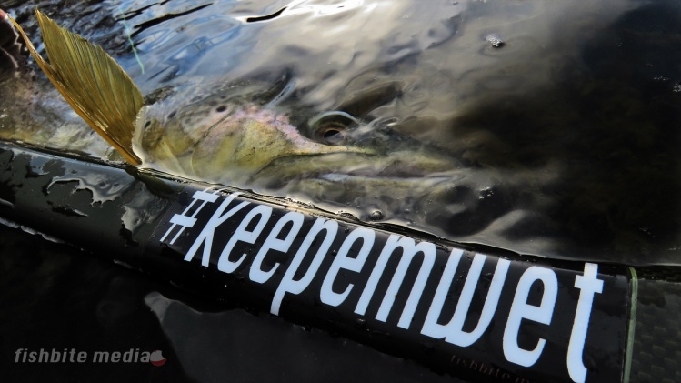 If you're gonna release em…. #keepemwet