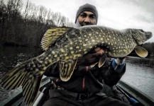 Thomas & Thomas Fine Fly Rods 's Fly-fishing Catch of a Pike – Fly dreamers 