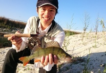 Sebastian Widjaja 's Fly-fishing Picture of a Perch – Fly dreamers 