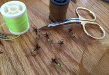  Foto de Atado de moscas para Trucha de arroyo o fontinalis compartida por Terry Landry – Fly dreamers