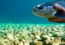  Foto de Pesca con Mosca de Salmón encerrado compartida por Fernando Hook & Gold Outfitters – Fly dreamers