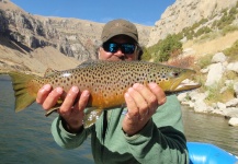 Tim Smith 's Fly-fishing Pic of a Brown trout – Fly dreamers 
