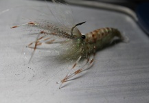 Fly-tying for Sea-Trout - Image by Stig M. Hansen 