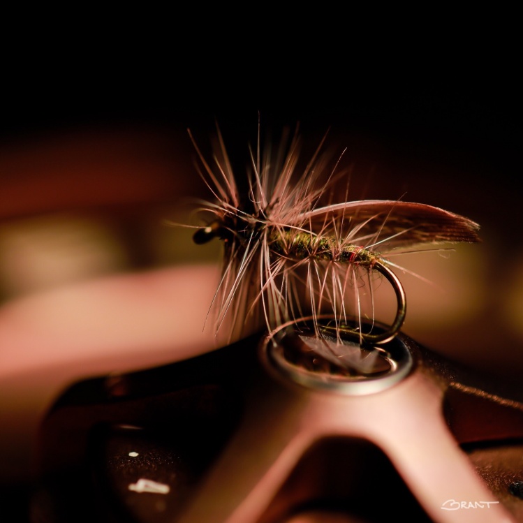 Dryfly on Sage reel