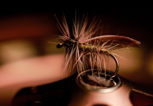 Brant Fageraas's Fly-fishing Art Photo – Fly dreamers 