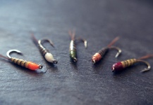 Pierre Lainé 's Fly-tying for Brown trout - Pic – Fly dreamers 