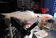 David Bullard 's Fly for Cobia - Pic – Fly dreamers 