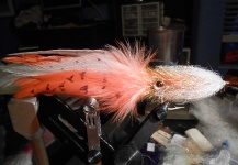 David Bullard 's Fly-tying for Cobia - Pic – Fly dreamers 
