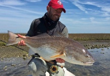 Fly-fishing Pic of Redfish shared by Ben Paschal – Fly dreamers 