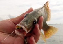 Santiago Rodriguez 's Fly-fishing Picture of a Other Species – Fly dreamers 