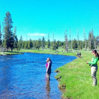 Starting young in Yellowstone National Park
