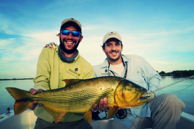 Dorado de Aguas claras