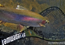 Fly-fishing Image of Rainbow trout shared by Fishbite Media – Fly dreamers