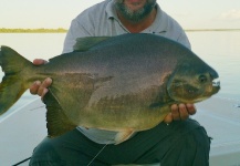 Mariano Miraglia 's Fly-fishing Pic of a Pacu – Fly dreamers 