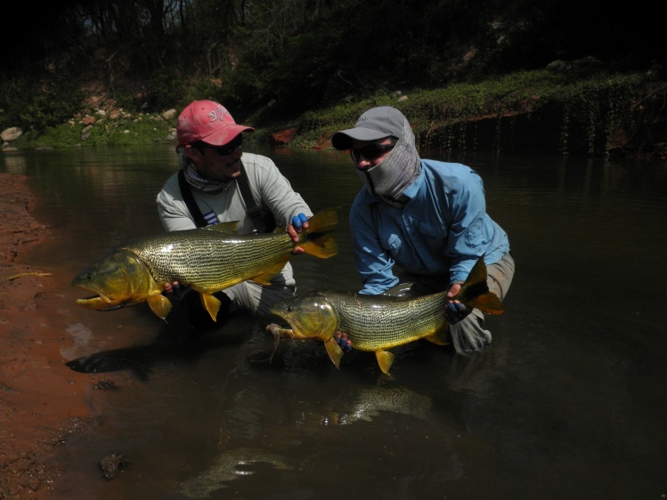 Mis amigos Hernan y Leandro, con dos bellezas del rio Dorado