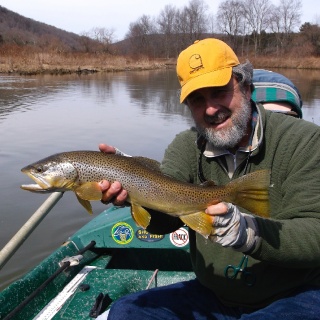 21" Delaware River Brown trout.  Caught on April 1, 2014.  Early spring Browns on the Delaware are feisty.