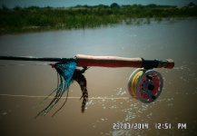 Dorado Fly-fishing Situation – Juan Cragnolini shared this Interesting Image in Fly dreamers 