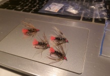 Fly for Chub - Pic shared by Emil Pop – Fly dreamers 
